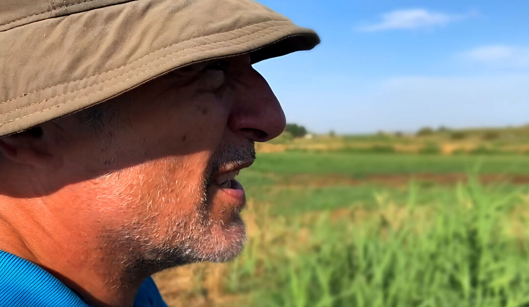 🌿 Las “clamors”: el sistema venoso oculto del regadío tradicional