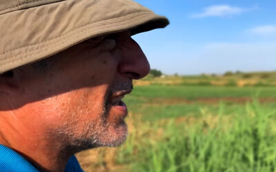 🌿 Las “clamors”: el sistema venoso oculto del regadío tradicional