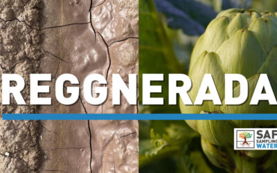 💧 Proyecto REGGENERADA | Hacia una alcachofa más eficiente y sostenible en el Baix Llobregat