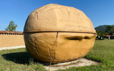 Observaciones sobre los suelos del nogal en la AOP “Noix de Grenoble” (Nuez de Grenoble, Francia)