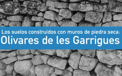 Suelos construidos con piedra seca: el papel del paisaje en los olivares de les Garrigues.